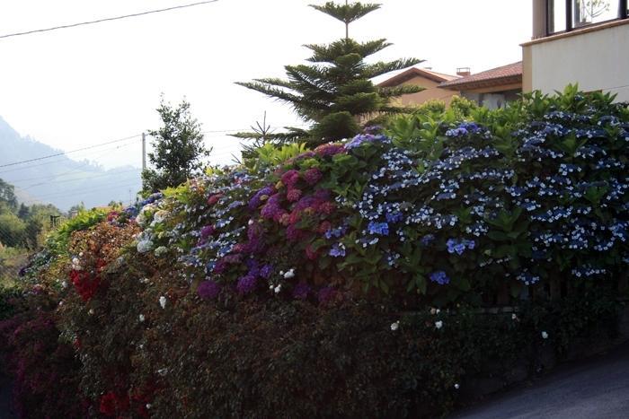 Pando  Hotel Foronda מראה חיצוני תמונה